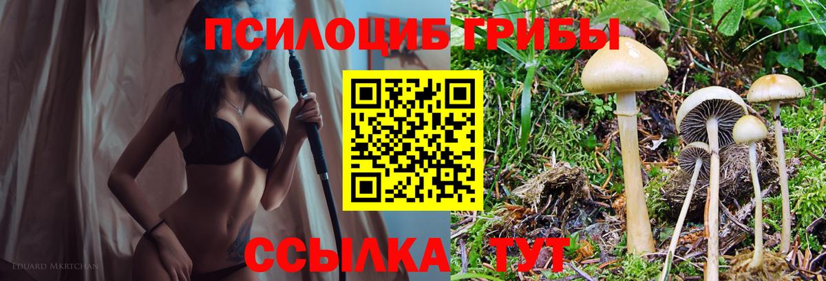 Псилоцибиновые грибы мухоморы Волжский