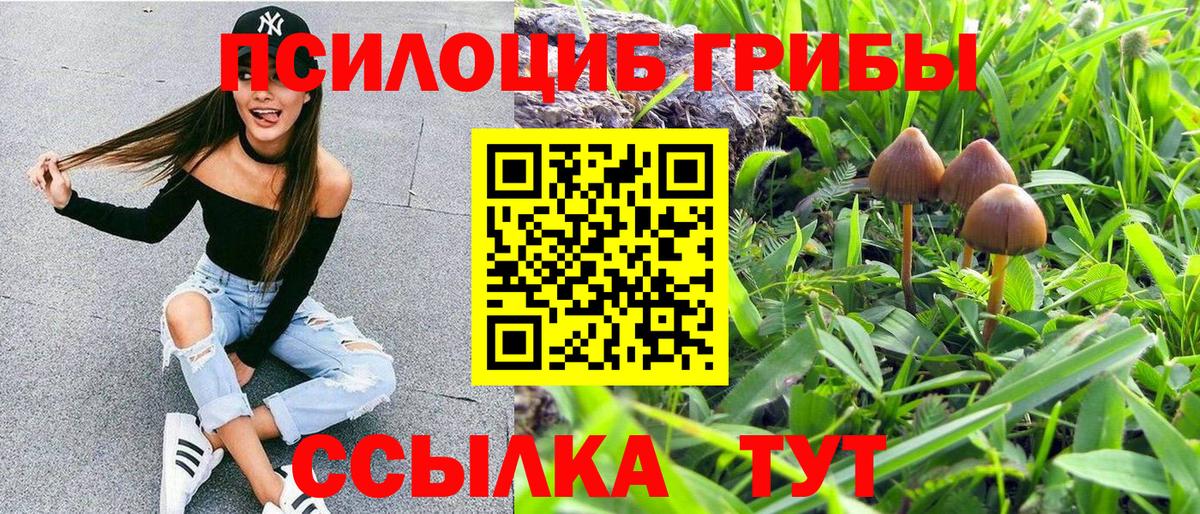Волжский  Галлюциногенные грибы Psilocybe  Вход с VPN 